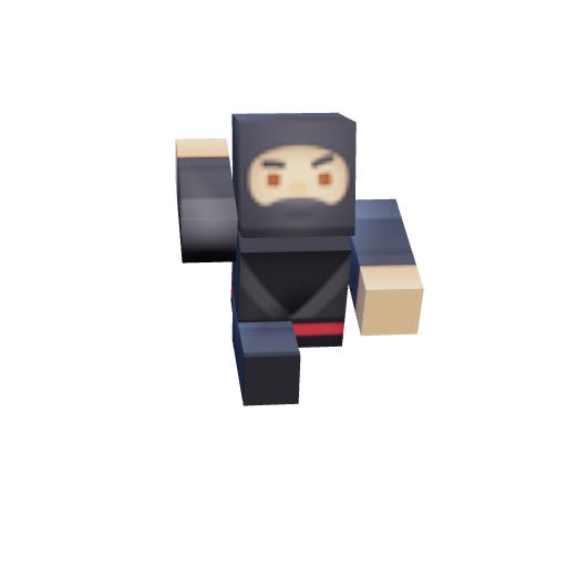 IT Ninja